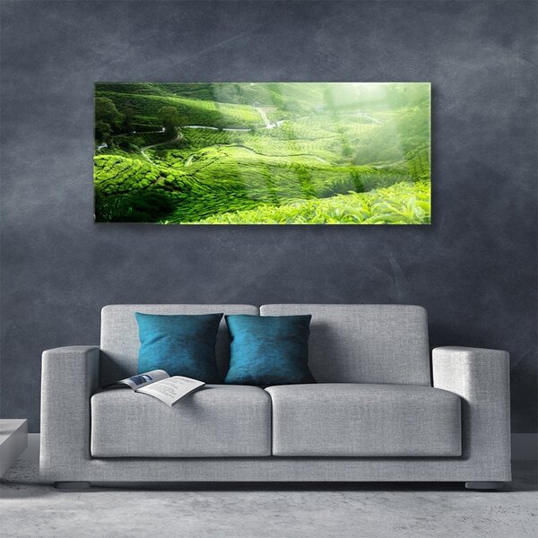 Tablou pe sticla Meadow Natura verde