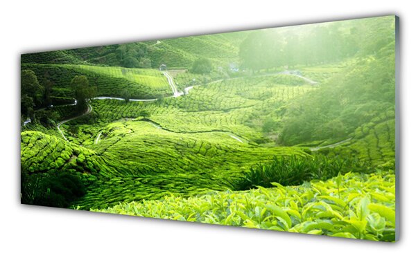 Tablou pe sticla Meadow Natura verde