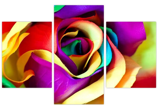 Tablou - Trandafir colorat (90x60 cm)
