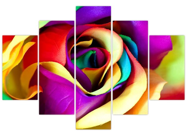 Tablou - Trandafir colorat (150x105 cm)