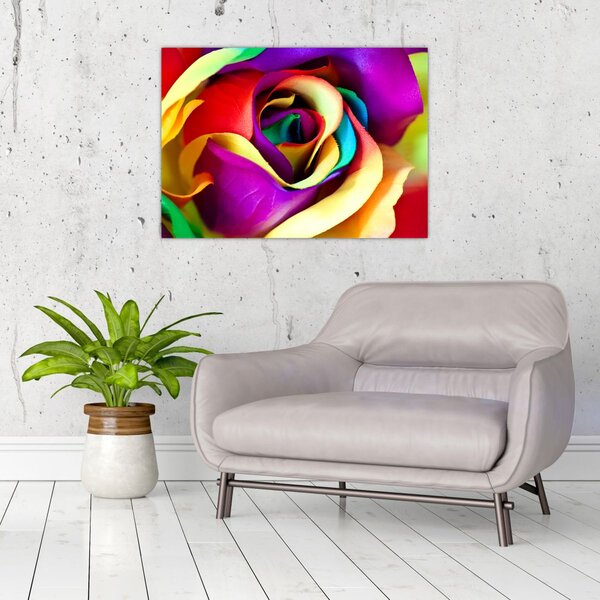 Tablou - Trandafir colorat (70x50 cm)