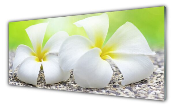 Tablou pe sticla Flori Floral alb