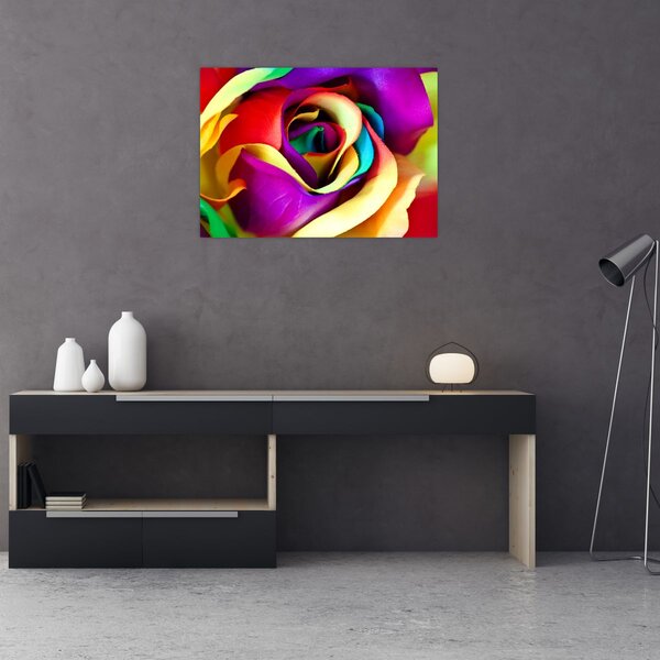 Tablou - Trandafir colorat (70x50 cm)