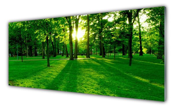 Panou sticla bucatarie Natural Pădurea Verde Maro