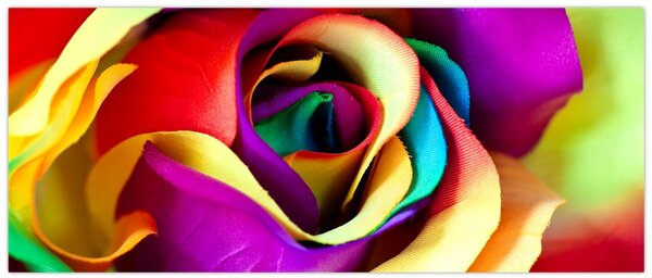 Tablou - Trandafir colorat (120x50 cm)
