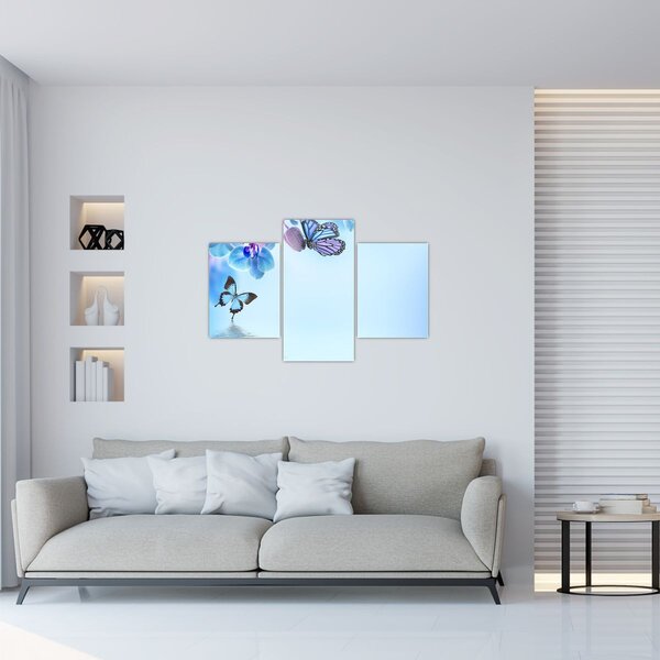 Tablou - Fluture pe flori de orhidee, albastru (90x60 cm)