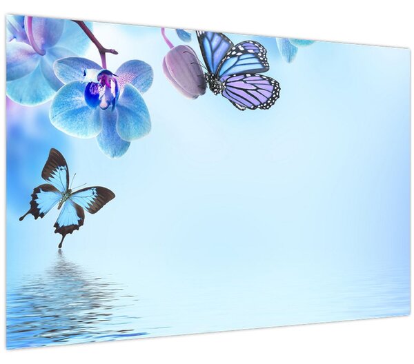 Tablou - Fluture pe flori de orhidee, albastru (90x60 cm)