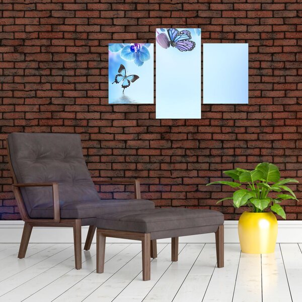 Tablou - Fluture pe flori de orhidee, albastru (90x60 cm)