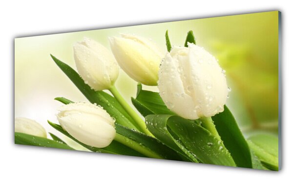 Tablou pe sticla Lalele Floral Alb Verde