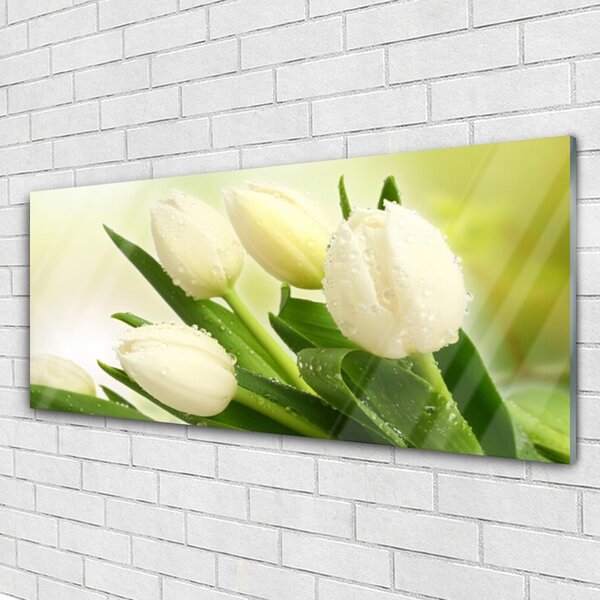 Tablou pe sticla Lalele Floral Alb Verde
