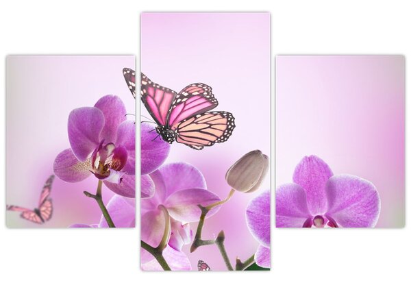 Tablou - Fluture pe flori de orhidee, liliac (90x60 cm)