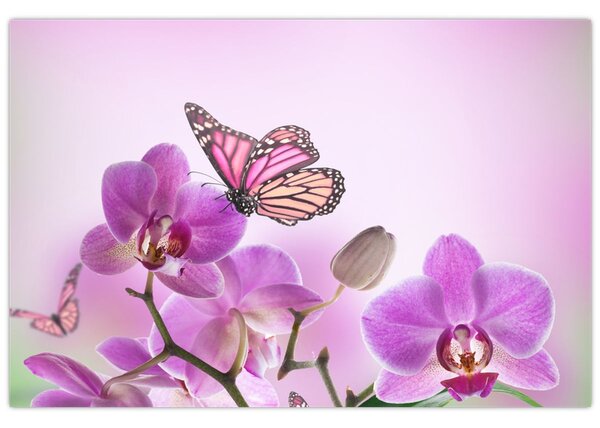 Tablou - Fluture pe flori de orhidee, liliac (90x60 cm)