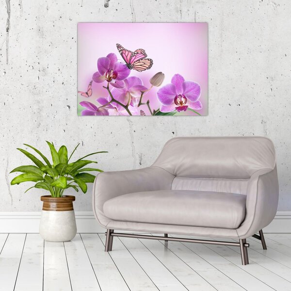 Tablou - Fluture pe flori de orhidee, liliac (70x50 cm)