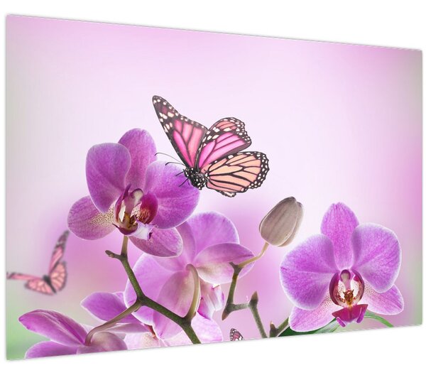 Tablou - Fluture pe flori de orhidee, liliac (90x60 cm)