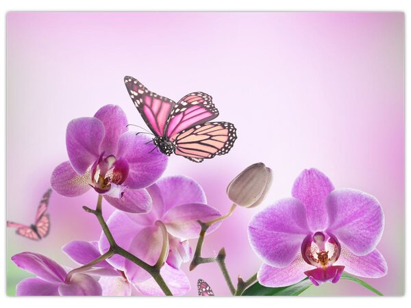 Tablou - Fluture pe flori de orhidee, liliac (70x50 cm)