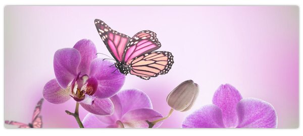 Tablou - Fluture pe flori de orhidee, liliac (120x50 cm)