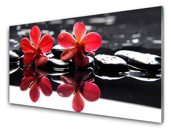 Panou sticla bucatarie Pietrele florale flori Roșu Negru