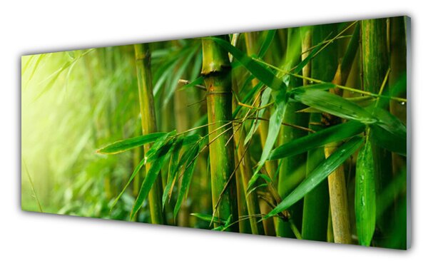 Tablou pe sticla Bamboo Tulpini Floral Verde