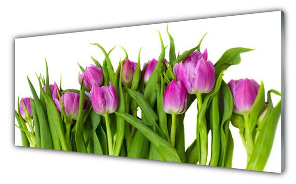 Tablou pe sticla Lalele Floral Roz Verde