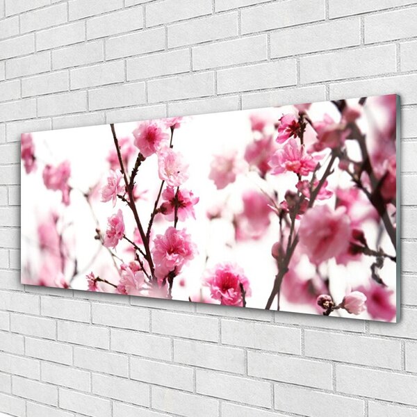Tablou pe sticla Ramuri de flori Floral Brown roz