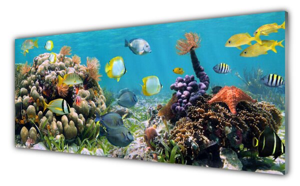 Tablou pe sticla Coral Reef Natura Multi