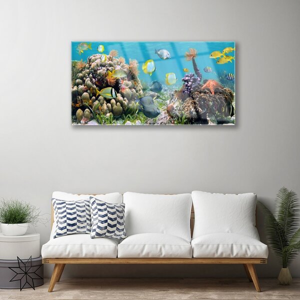 Tablou pe sticla Coral Reef Natura Multi