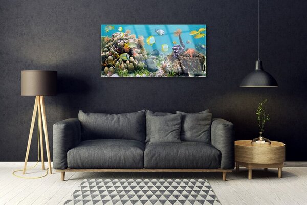 Tablou pe sticla Coral Reef Natura Multi
