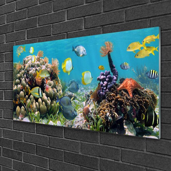 Tablou pe sticla Coral Reef Natura Multi