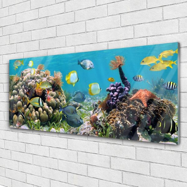 Tablou pe sticla Coral Reef Natura Multi