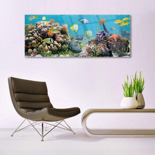 Tablou pe sticla Coral Reef Natura Multi