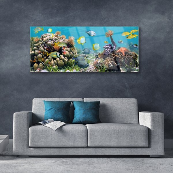 Tablou pe sticla Coral Reef Natura Multi