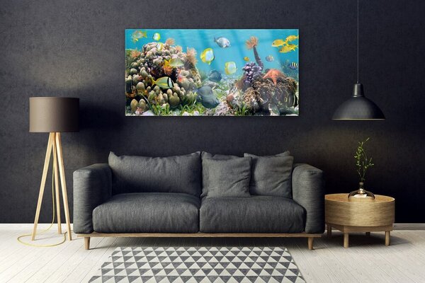 Tablou pe sticla Coral Reef Natura Multi
