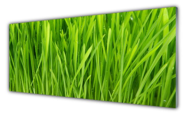 Tablou pe sticla Weed Floral Verde