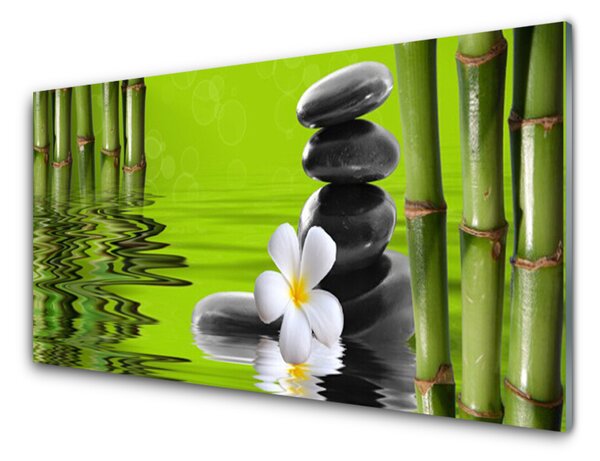 Panou sticla bucatarie Bamboo Tube flori Stones Arta Verde Negru Alb