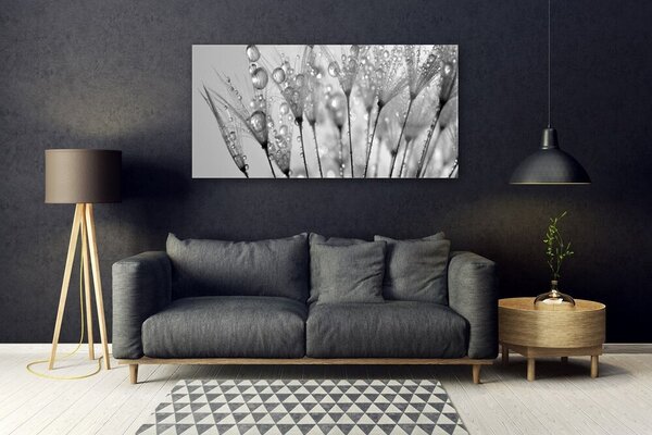 Tablou pe sticla Păpădie Floral Gray