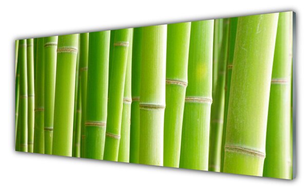 Tablou pe sticla Bamboo Tulpini Floral Verde