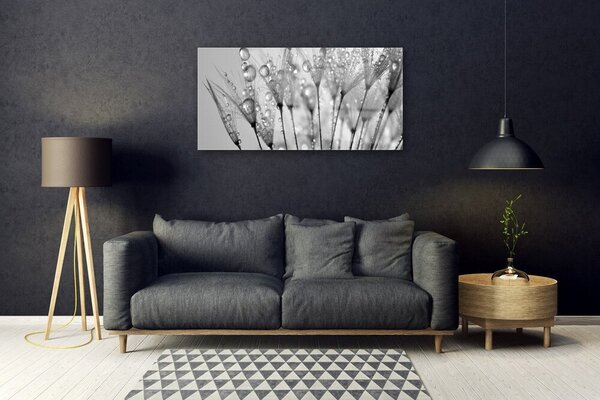 Tablou pe sticla Păpădie Floral Gray