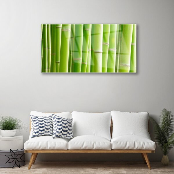 Tablou pe sticla Bamboo Tulpini Floral Verde