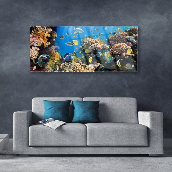 Tablou pe sticla Coral Reef Natura Multi