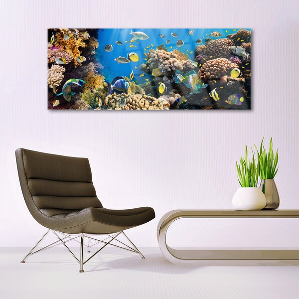 Tablou pe sticla Coral Reef Natura Multi