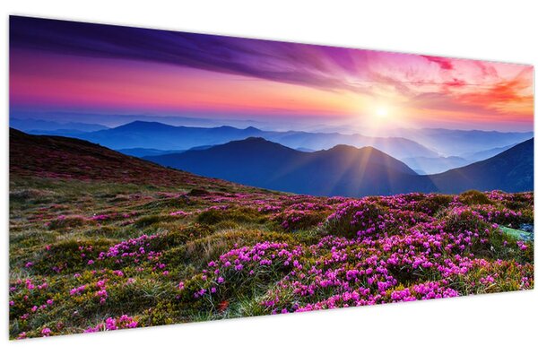 Tablou - Munte înflorit peisaj (120x50 cm)