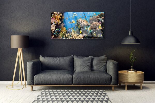 Tablou pe sticla Coral Reef Natura Multi