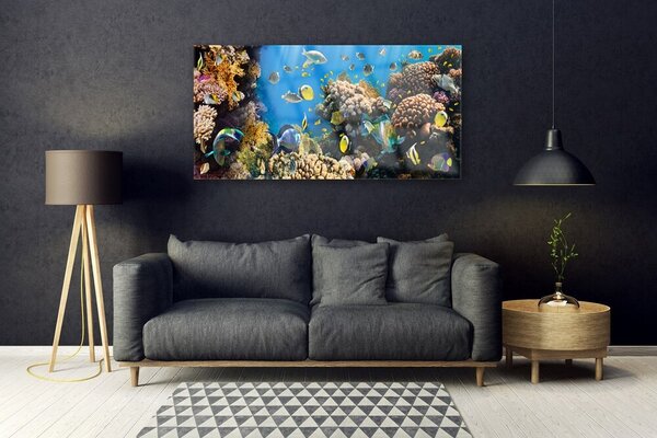Tablou pe sticla Coral Reef Natura Multi