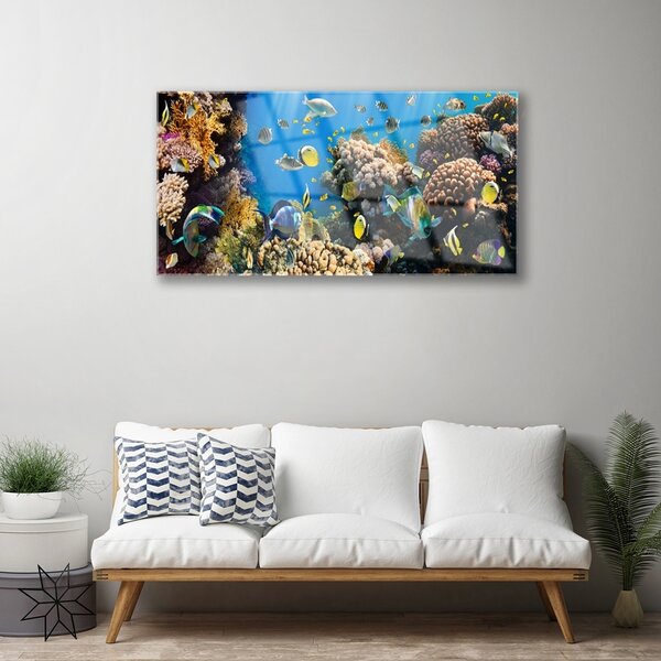 Tablou pe sticla Coral Reef Natura Multi