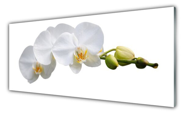 Tablou pe sticla Flori Floral alb