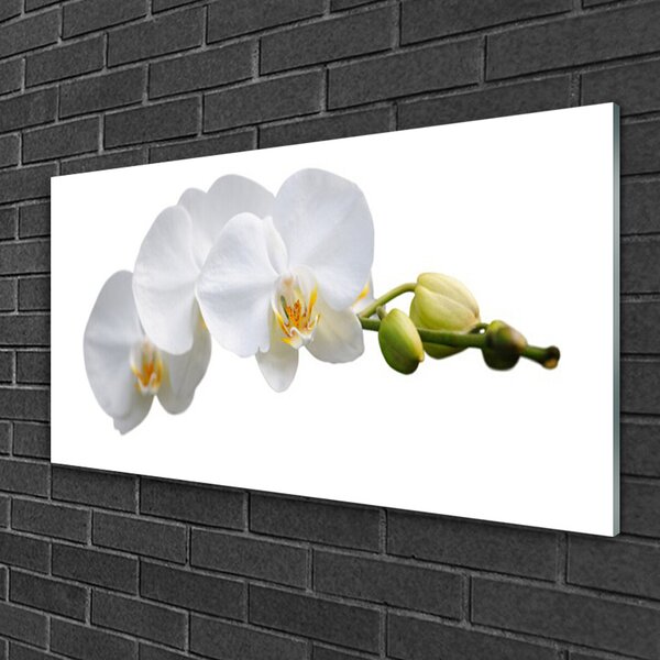 Tablou pe sticla Flori Floral alb