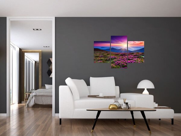 Tablou - Munte înflorit peisaj (90x60 cm)