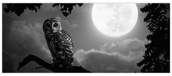Tablou - Bufniță de noapte, alb și negru (120x50 cm)