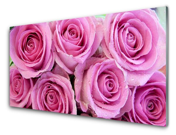 Panou sticla bucatarie Trandafiri roz Floral
