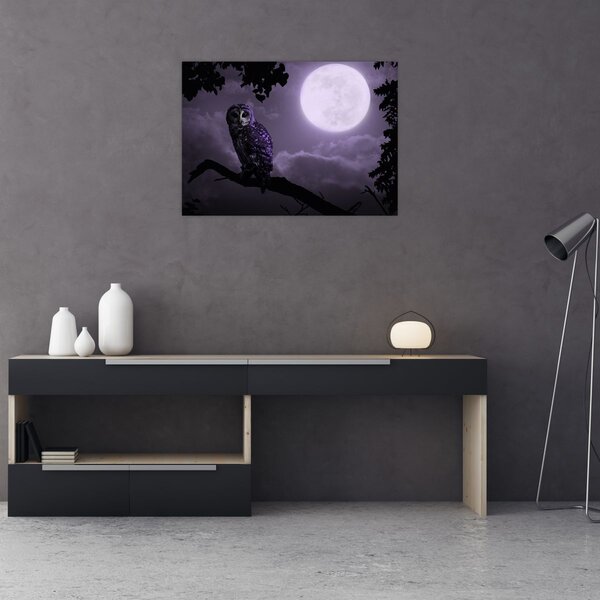 Tablou - Bufniță de noapte, violet (70x50 cm)